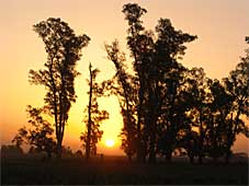 Sonnenuntergang in Argentinien